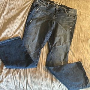 Torrid Jean